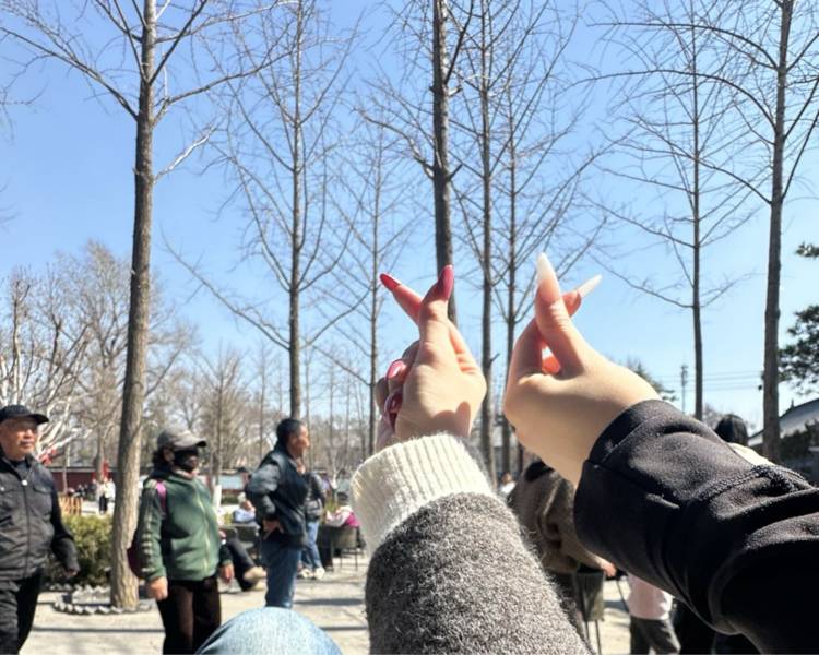 艺人背景图