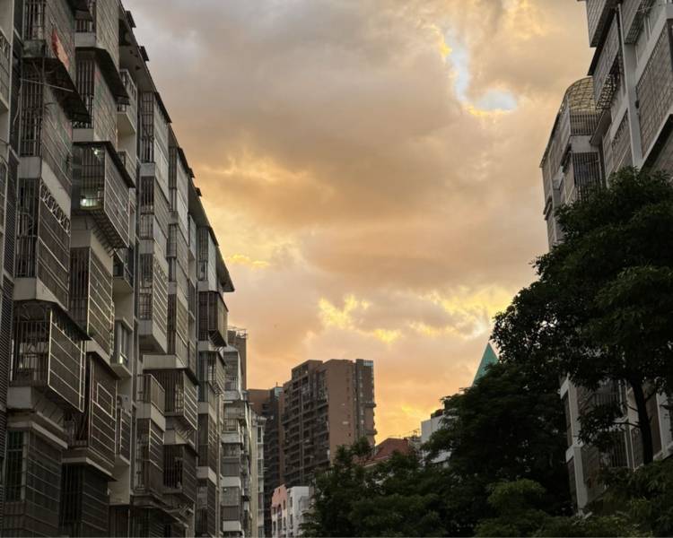 艺人背景图