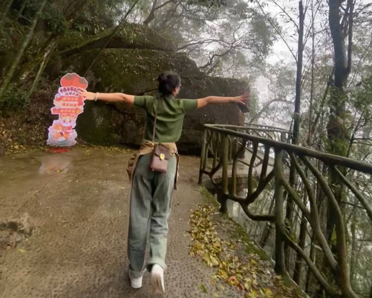 艺人背景图