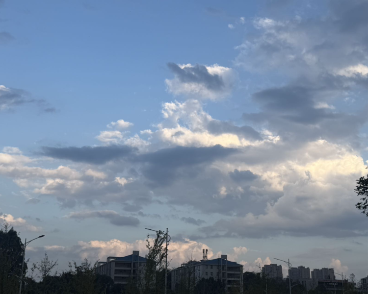 艺人背景图