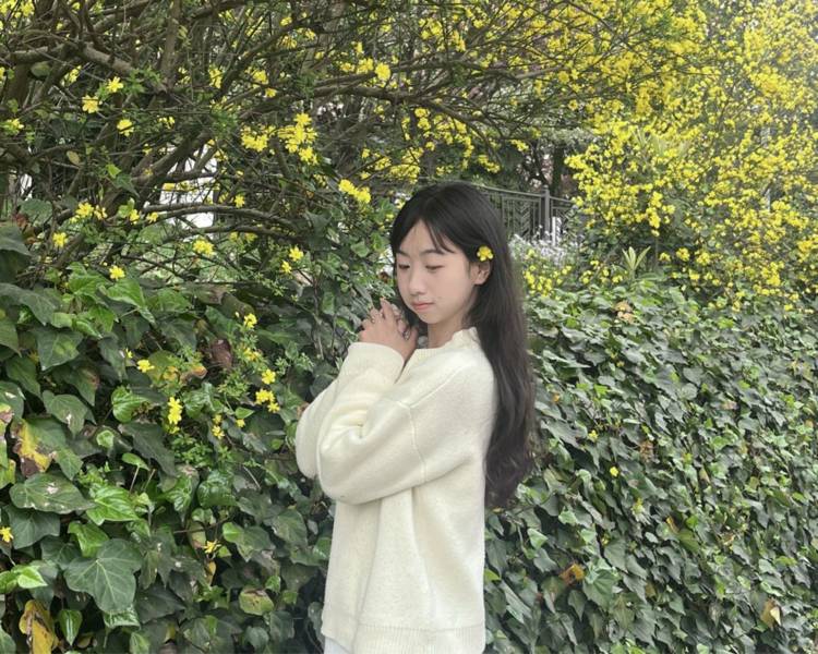 艺人背景图