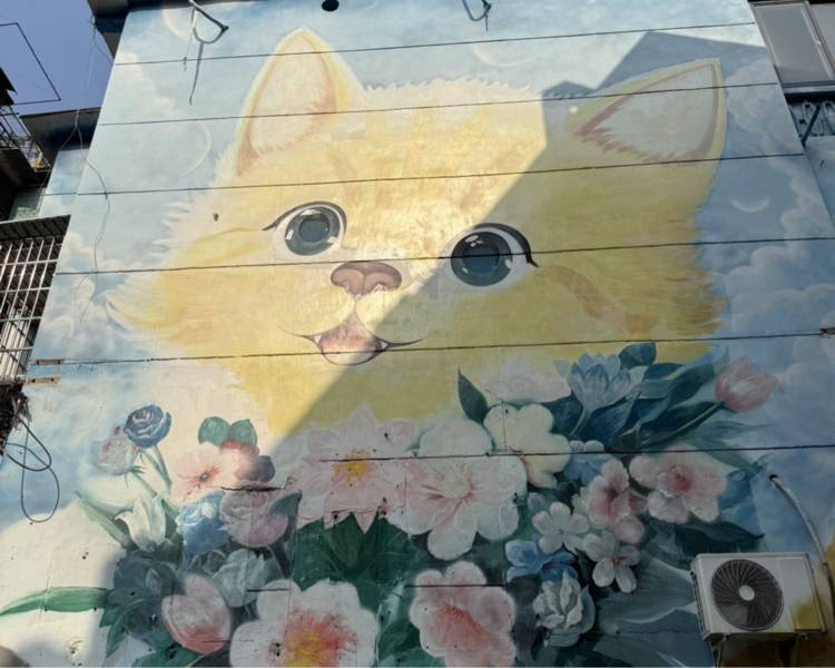 艺人背景图