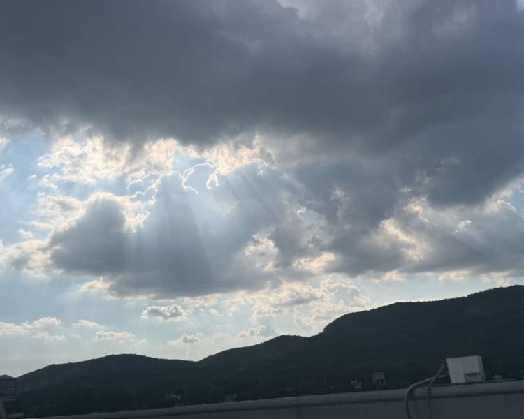 艺人背景图