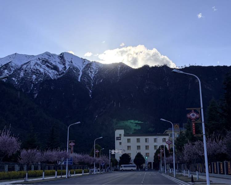 艺人背景图