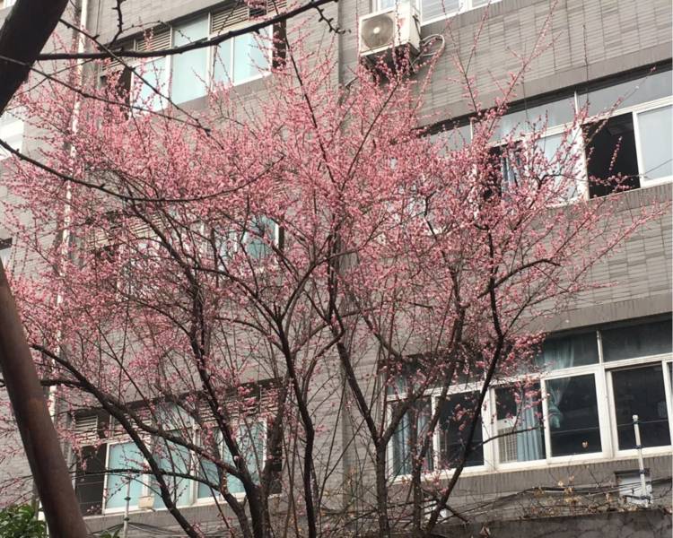 艺人背景图