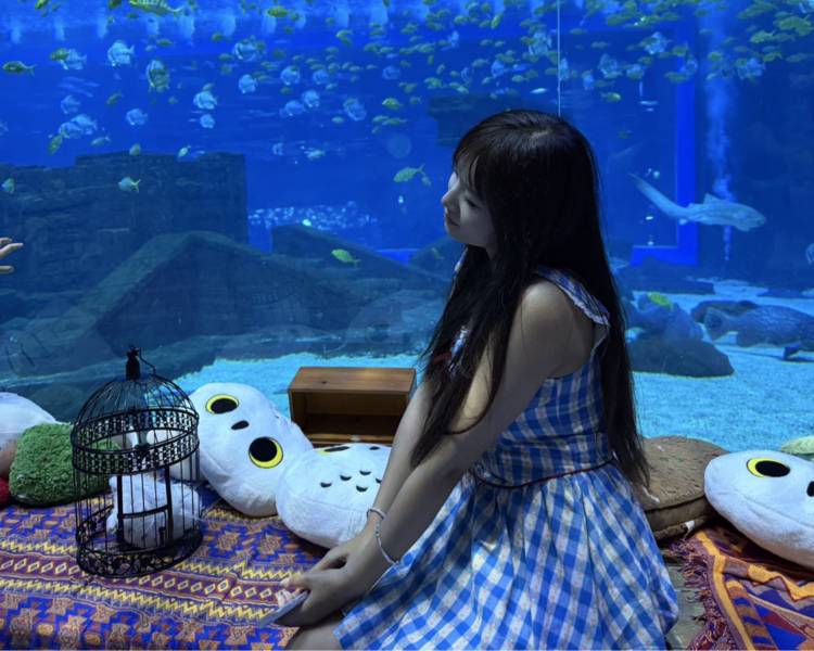 艺人背景图