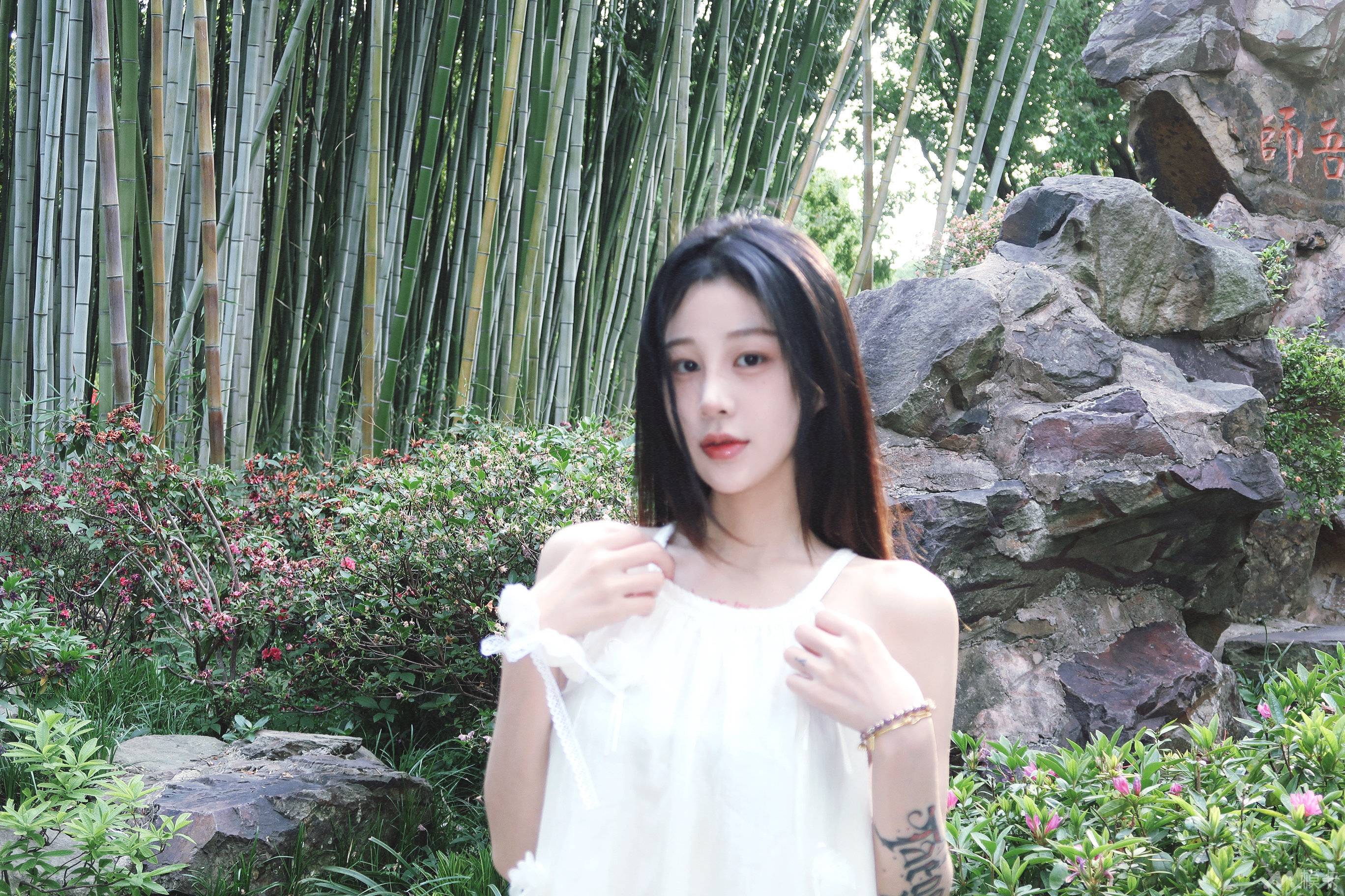 作品图片