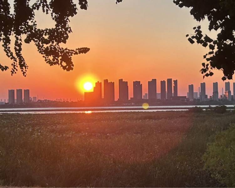 艺人背景图