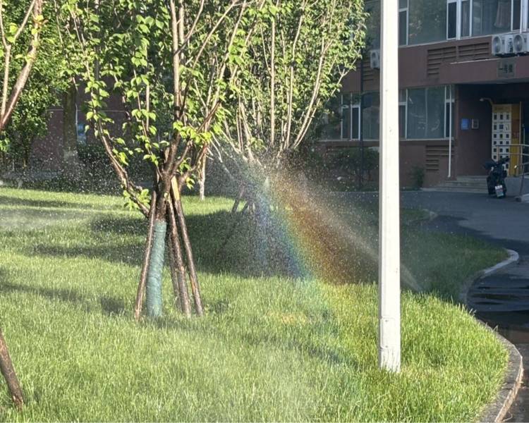 艺人背景图