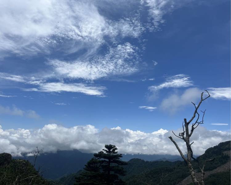 艺人背景图