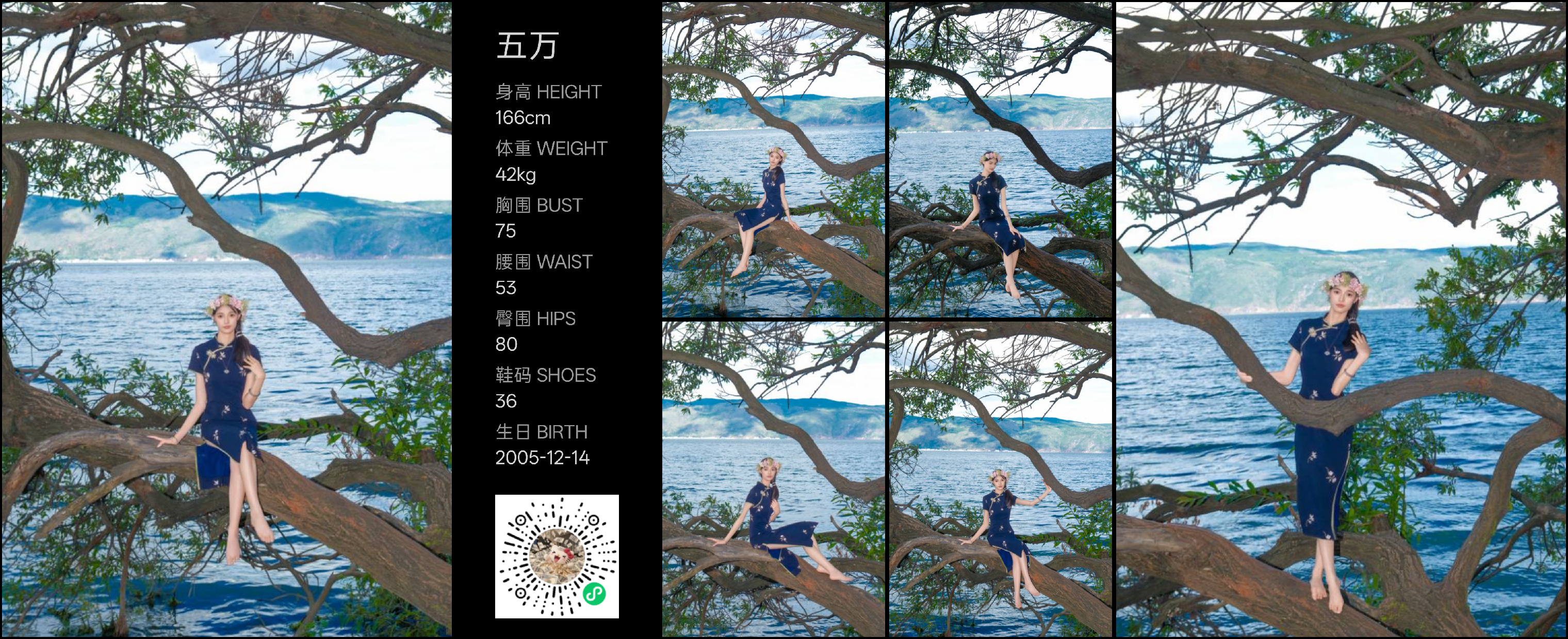 模卡