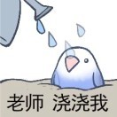 头像